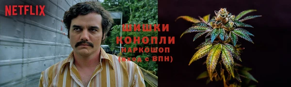 винт Елизово