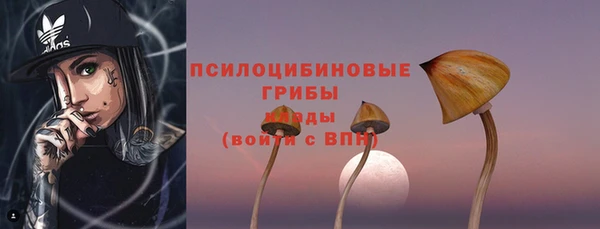 MDMA Ельня