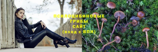 трава Заводоуковск