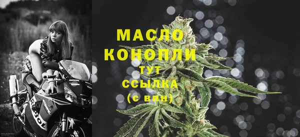 винт Елизово