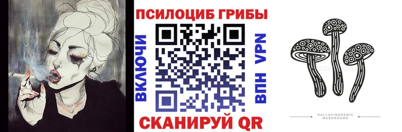Купить закладки  Мамадыш  Галлюциногенные грибы Psilocybe 